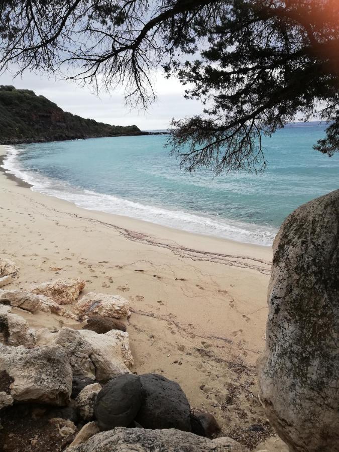 Appartamenti Le Conchiglie E Le Stelle Marine Cala Gonone Exterior foto