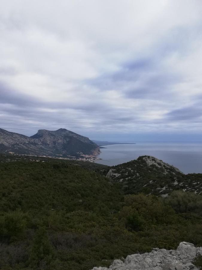 Appartamenti Le Conchiglie E Le Stelle Marine Cala Gonone Exterior foto