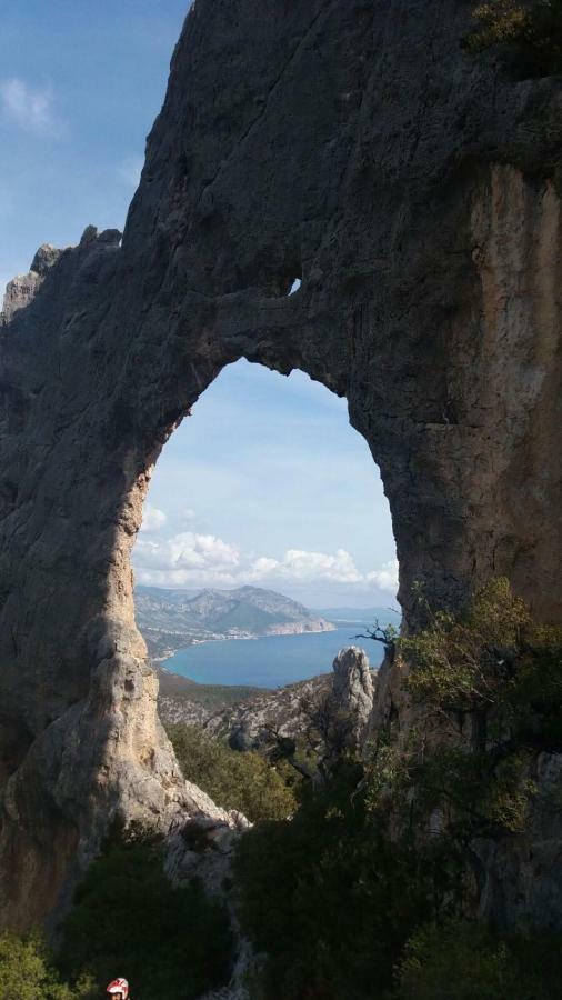 Appartamenti Le Conchiglie E Le Stelle Marine Cala Gonone Exterior foto